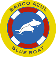 Licenced Blue Boat for Dolphins and Whales Search
